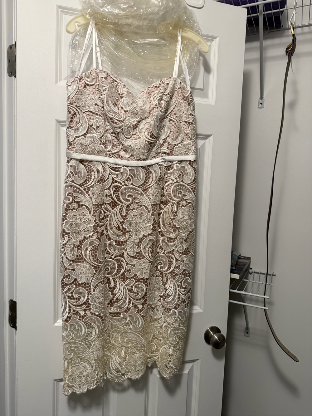 Lace Overlay Midi Dress in Blush and Ivory